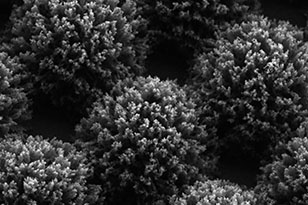 孝感孝感蔡司显微镜